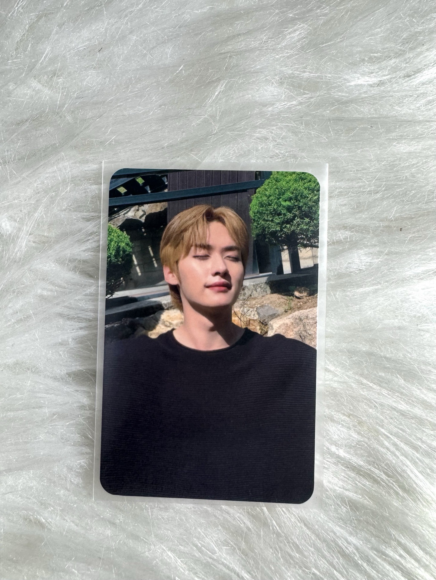 李旻浩 lee know subk特典卡