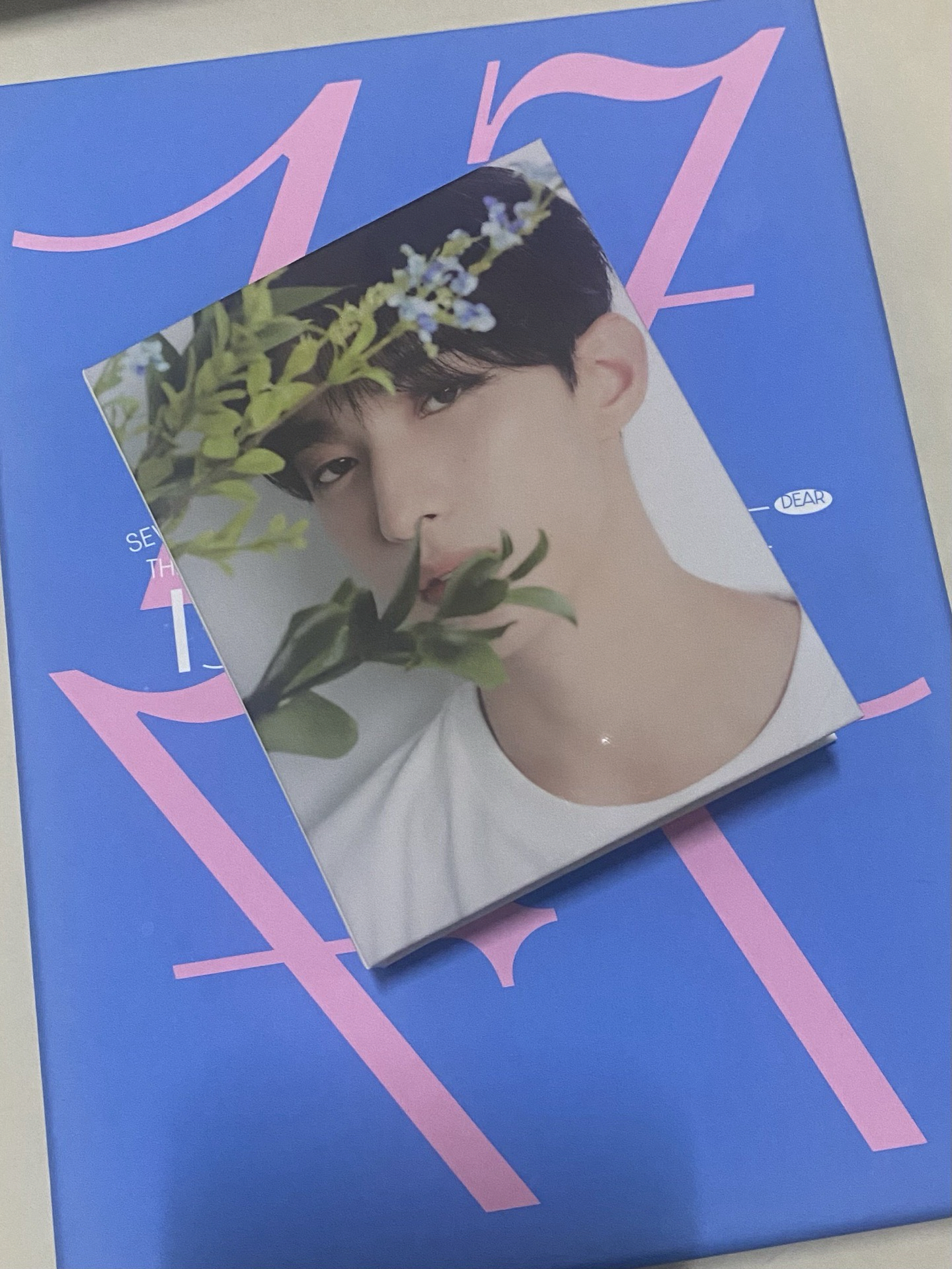 尹淨漢 李碩珉 精選專克拉盤