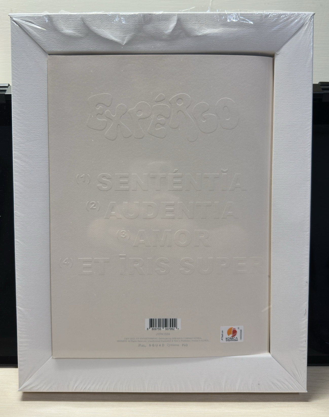 expérgo 海嫄油畫 全專