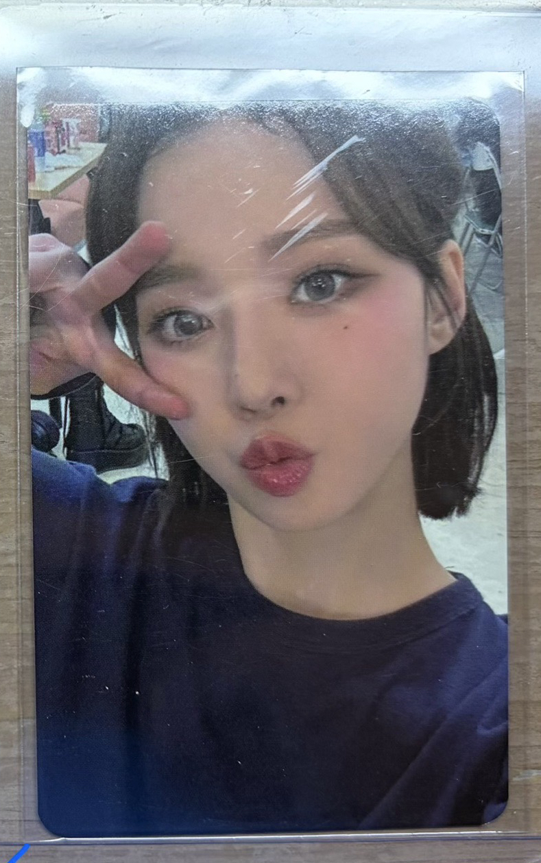 MY WORLD k4 特典卡 預售冬 小樹杈冬