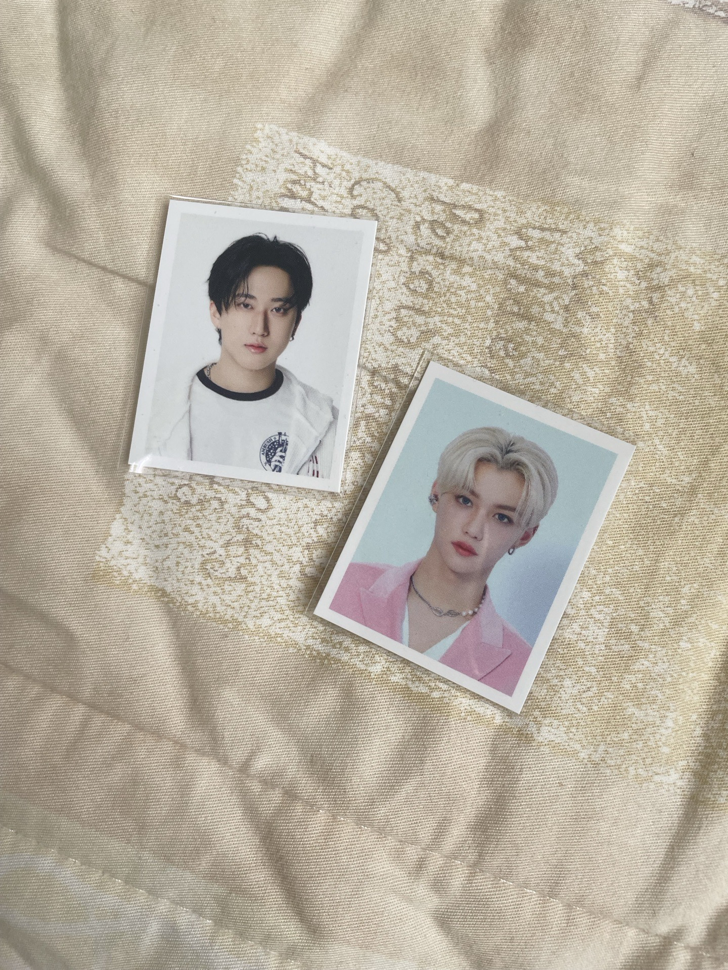 Stray kids 彬菲 證件照 不拆