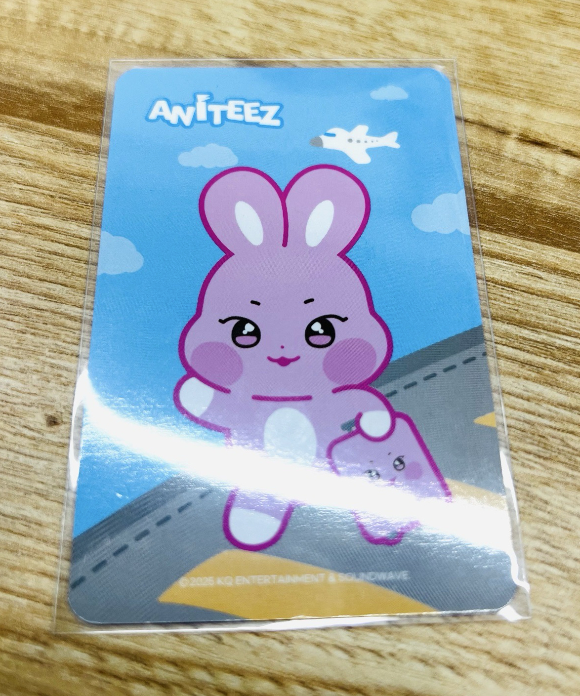 ANITEEZ IN THE CALLING 周邊卡 PVC LUGGAGE TAG-咚星