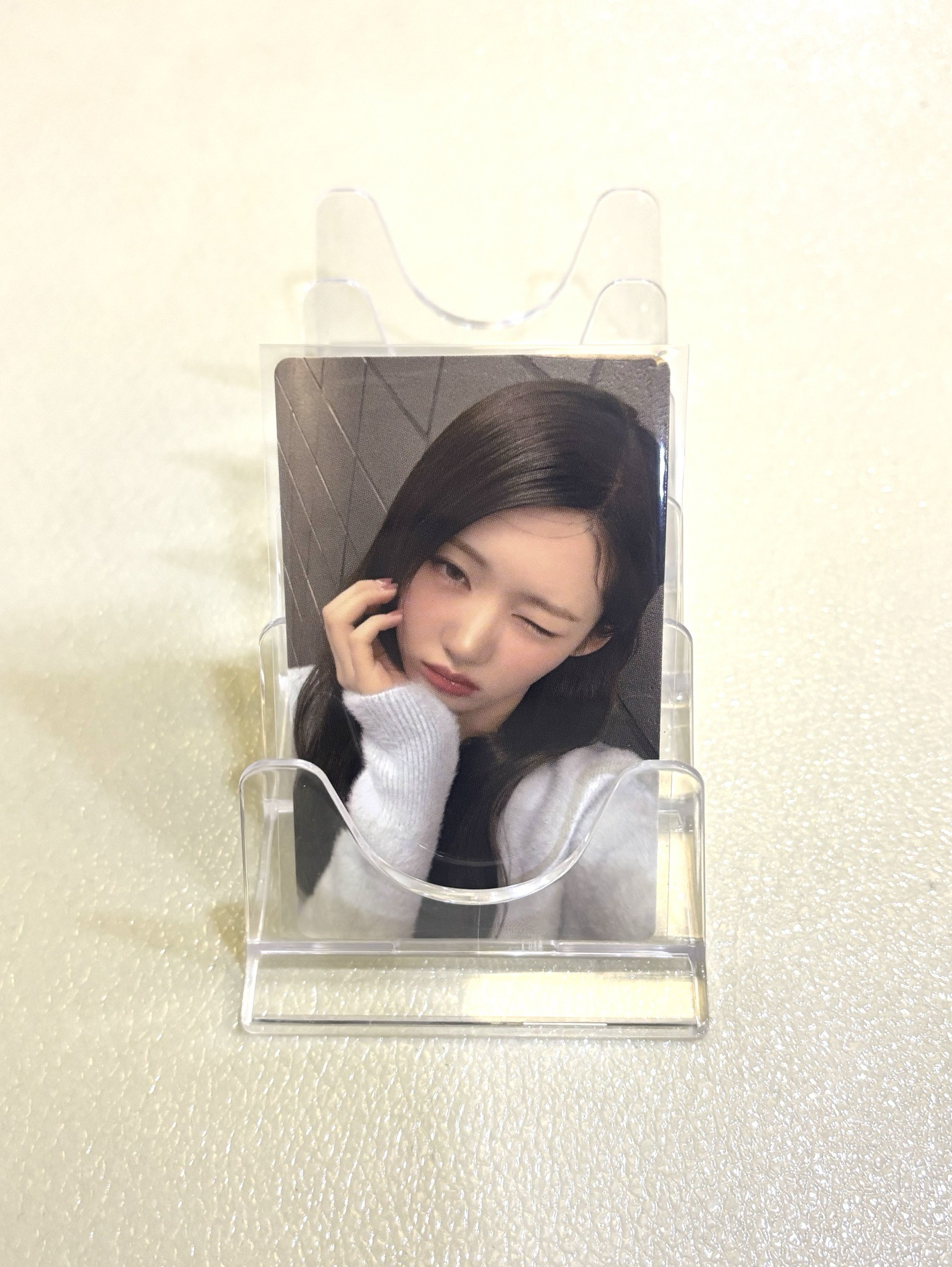 【現貨】茶 25世巡 日本場周 隨機卡 