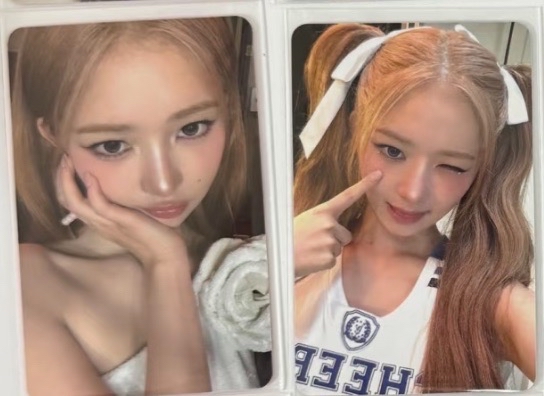 AMLD怜（兩卡一拍）