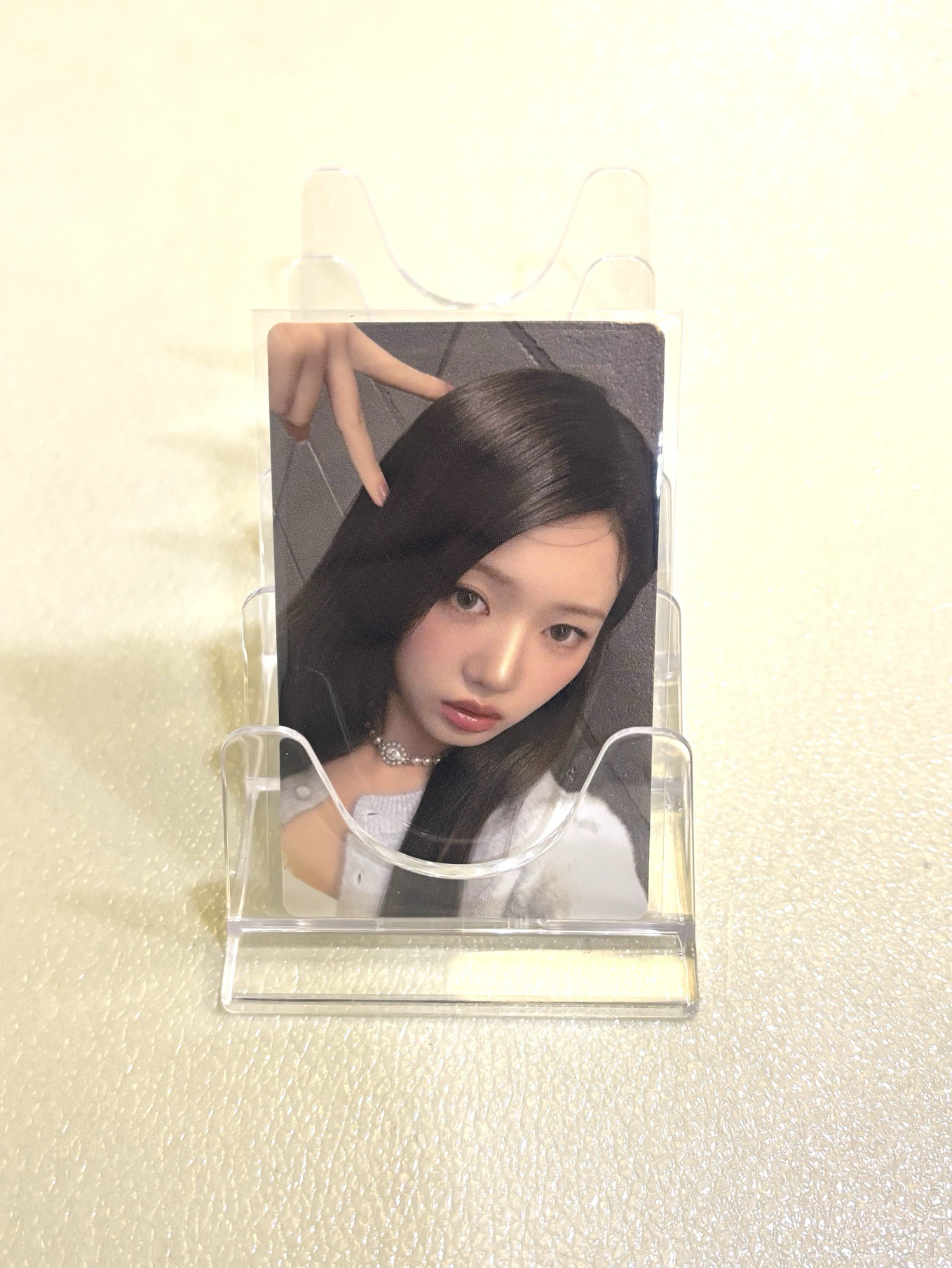 【現貨】茶 25世巡 日本場周 隨機卡 