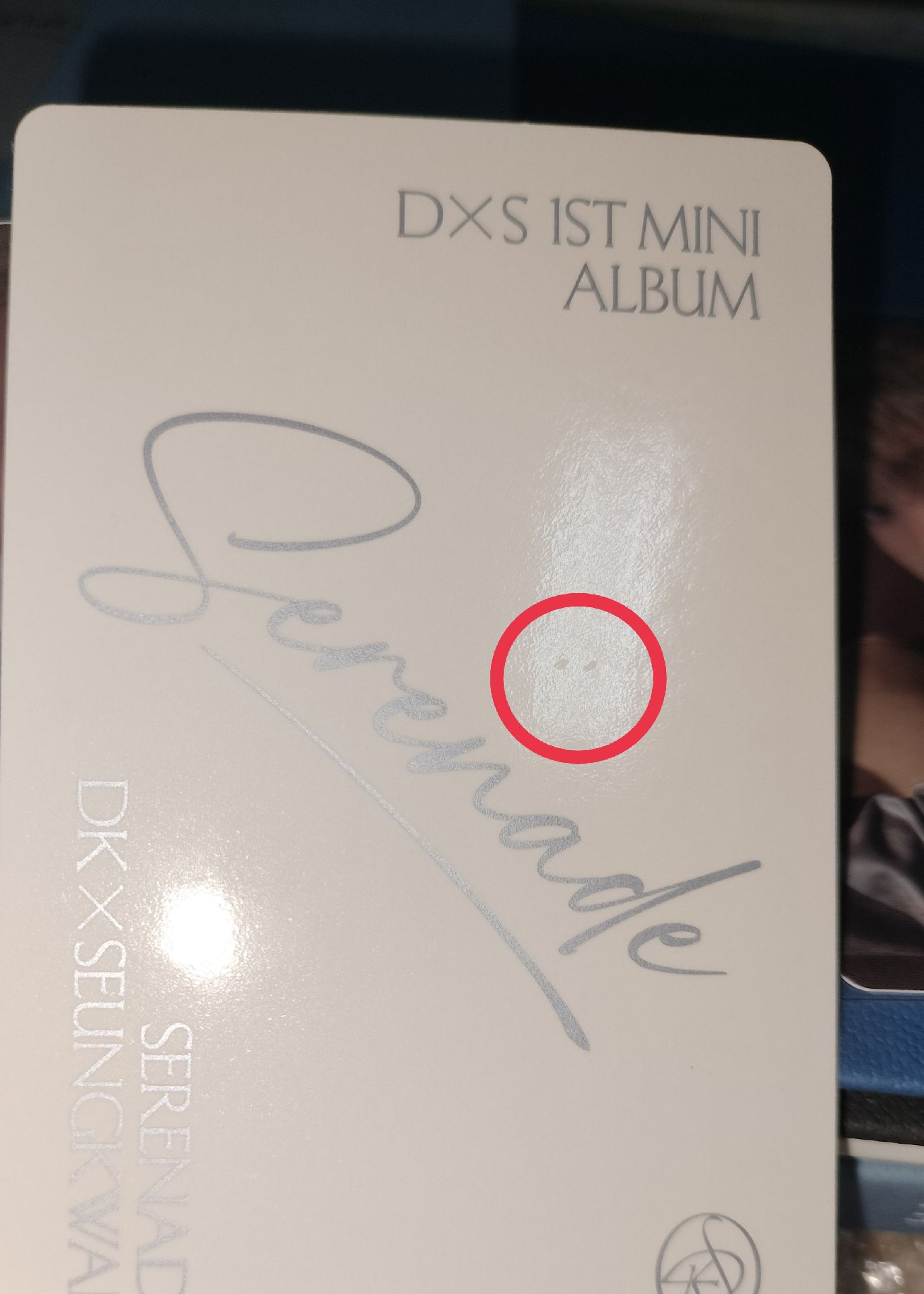 DXS ECHO ver. 碩全專