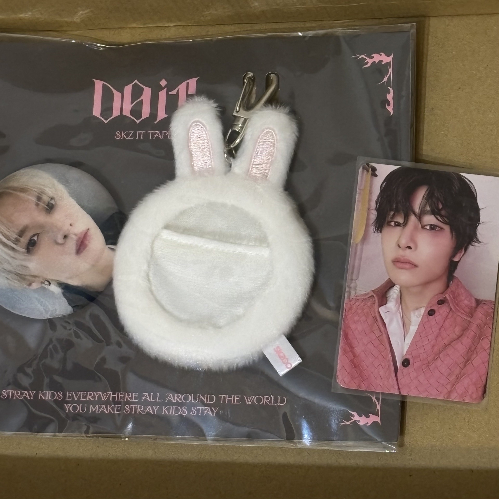 DO IT毛絨徽章旻+寅專卡