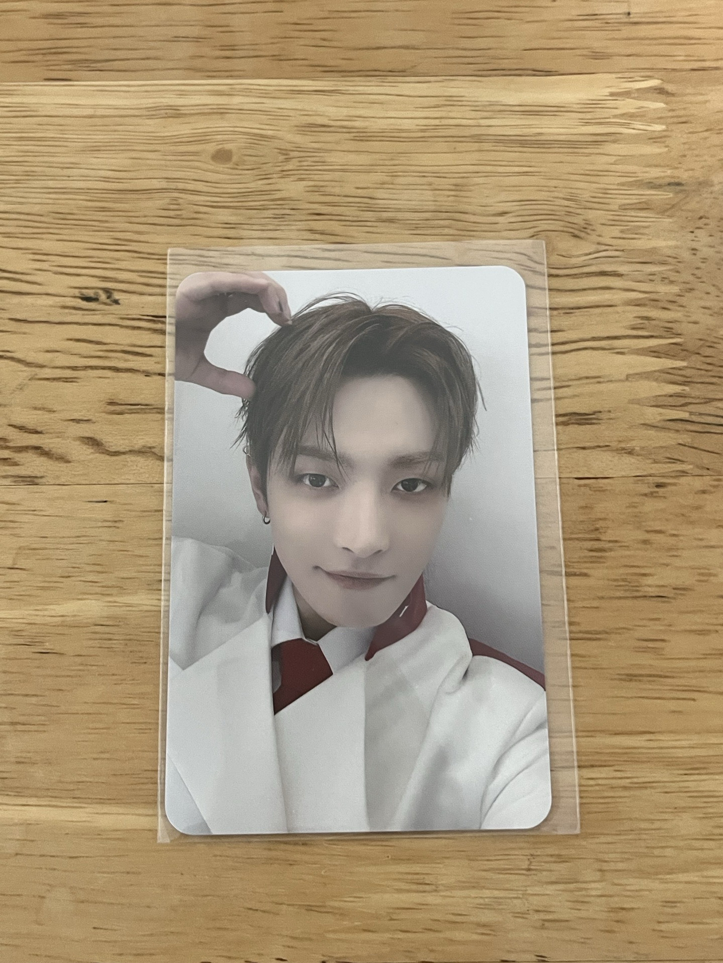 可愛鼠了金弘中