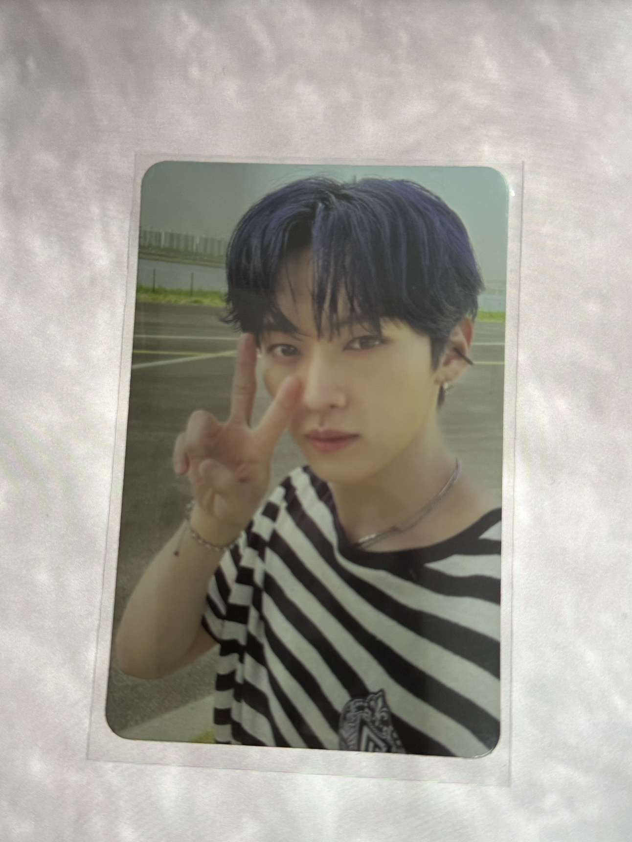 旻 maldent專輯卡