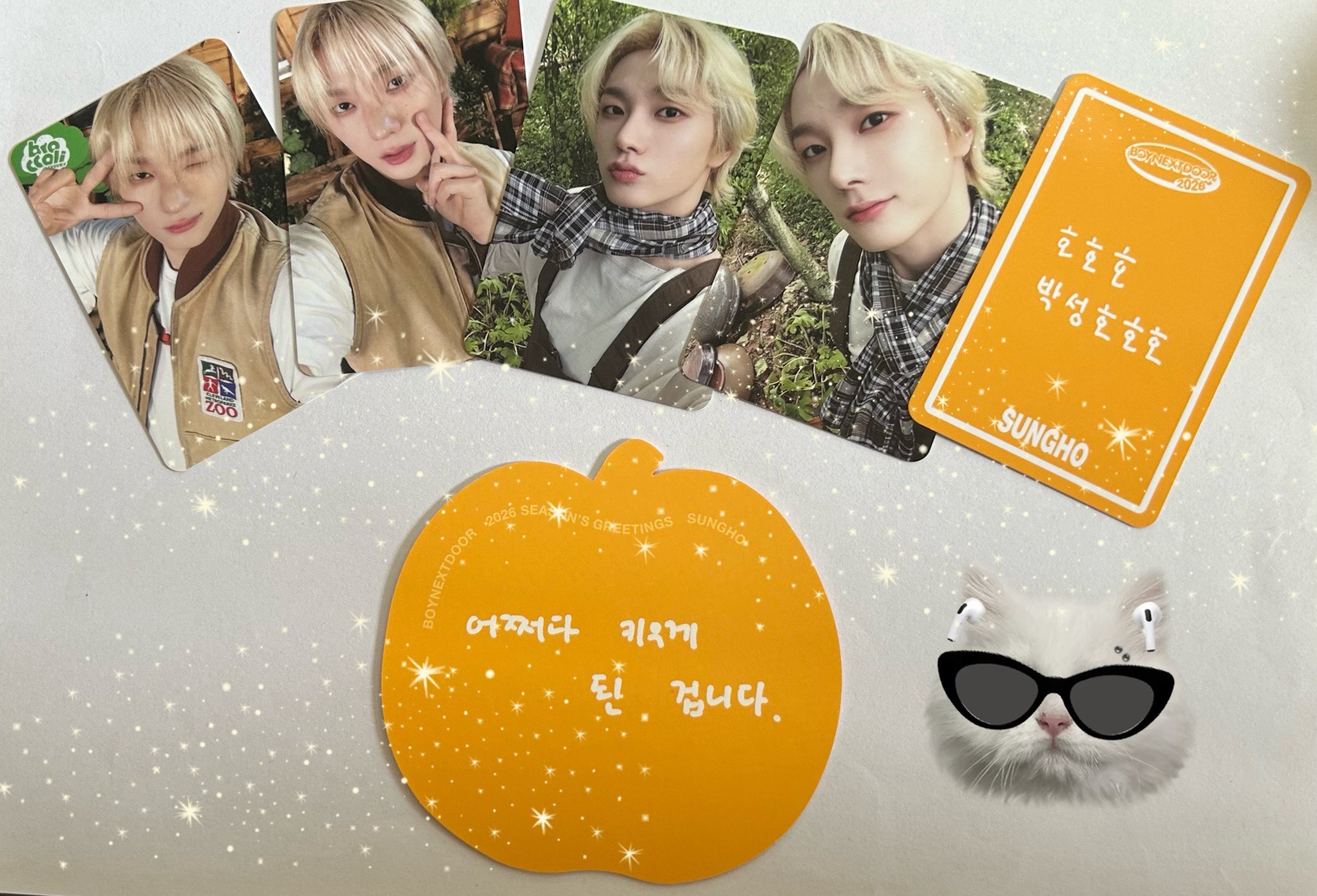 🩷金髮小貓咪🩷 成淏 2026年曆 set 