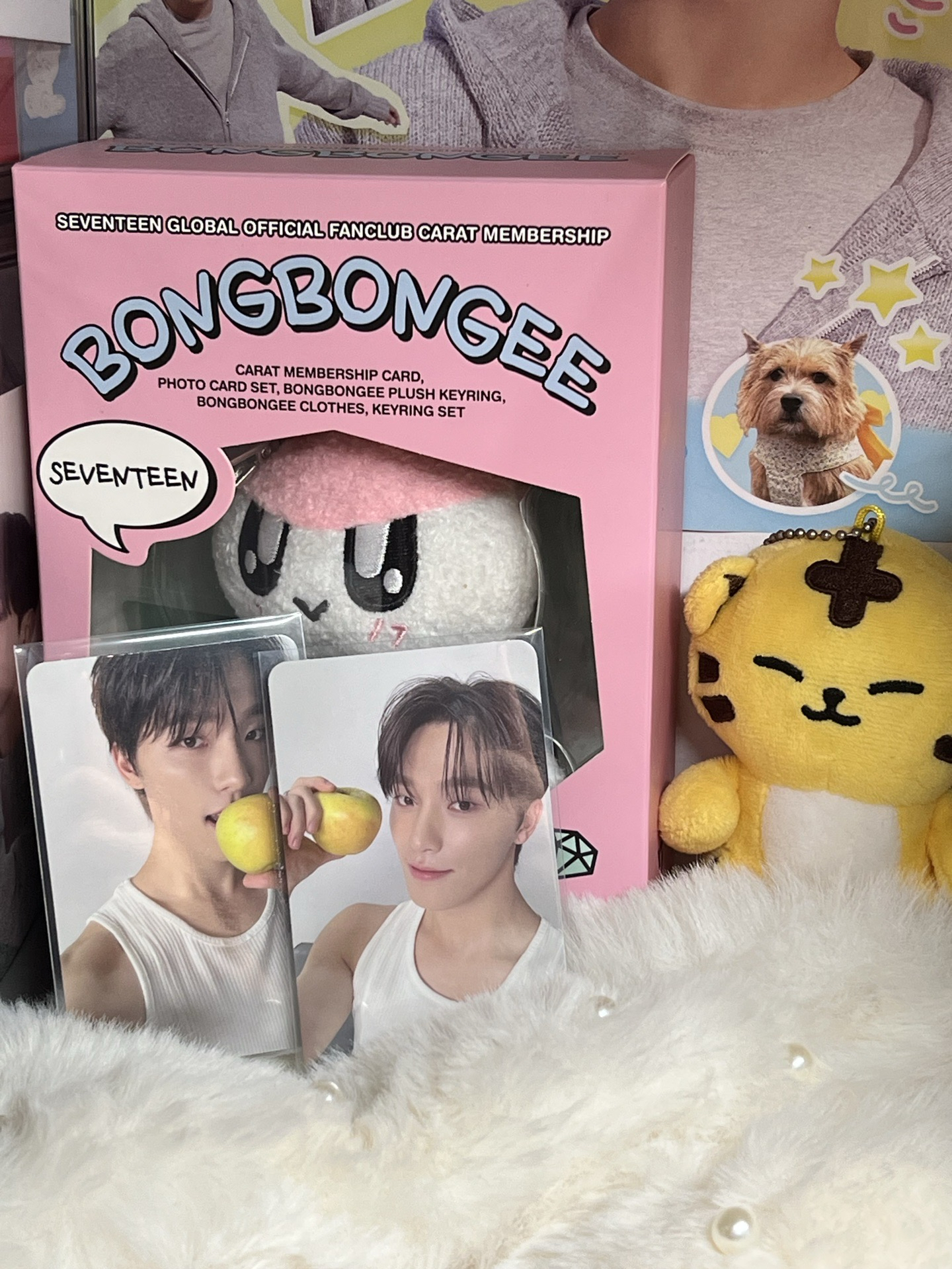 SEVENTEEN DINO🦖克拉盤小卡