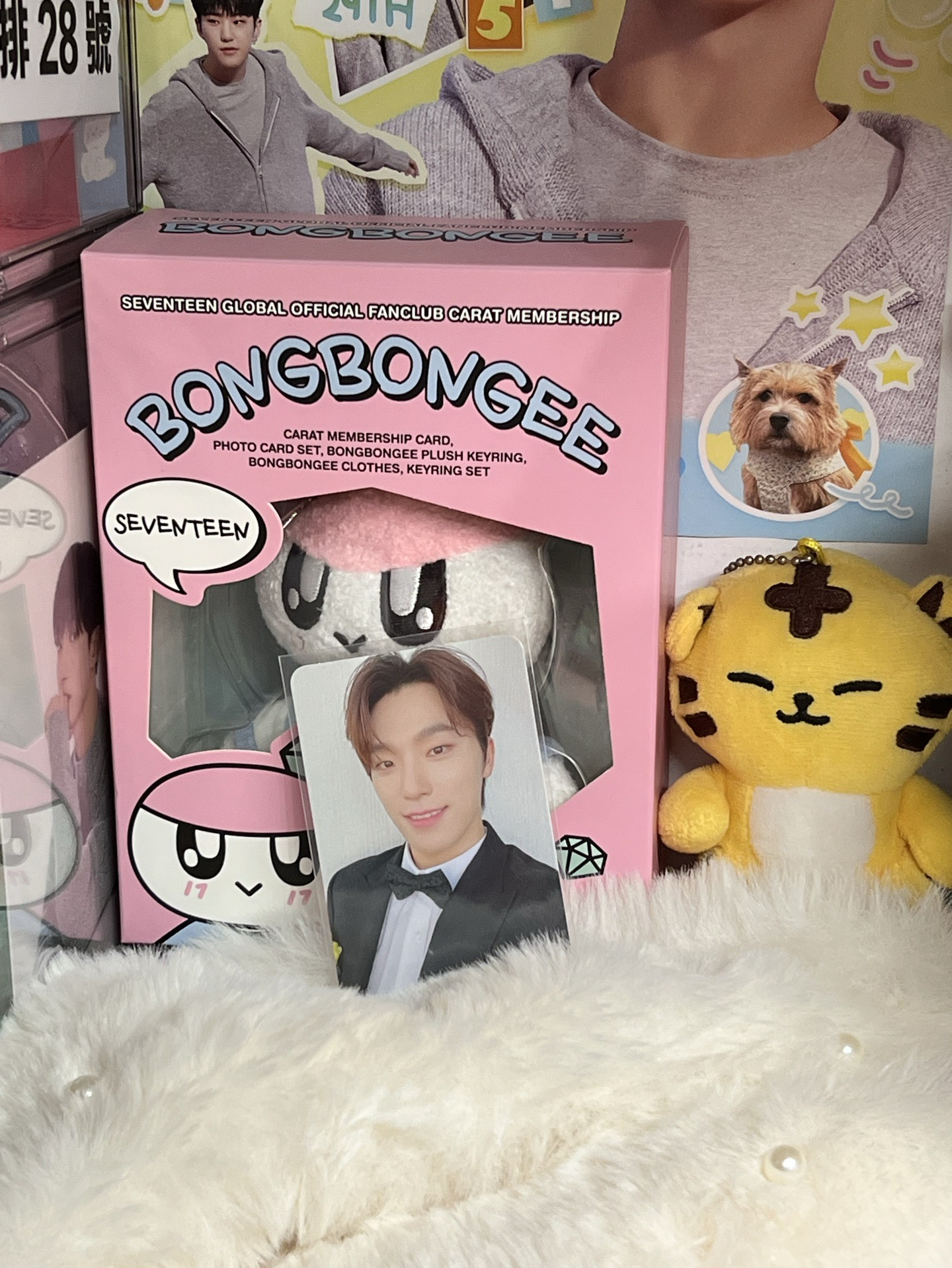 SEVENTEEN DINO🦖克拉盤小卡