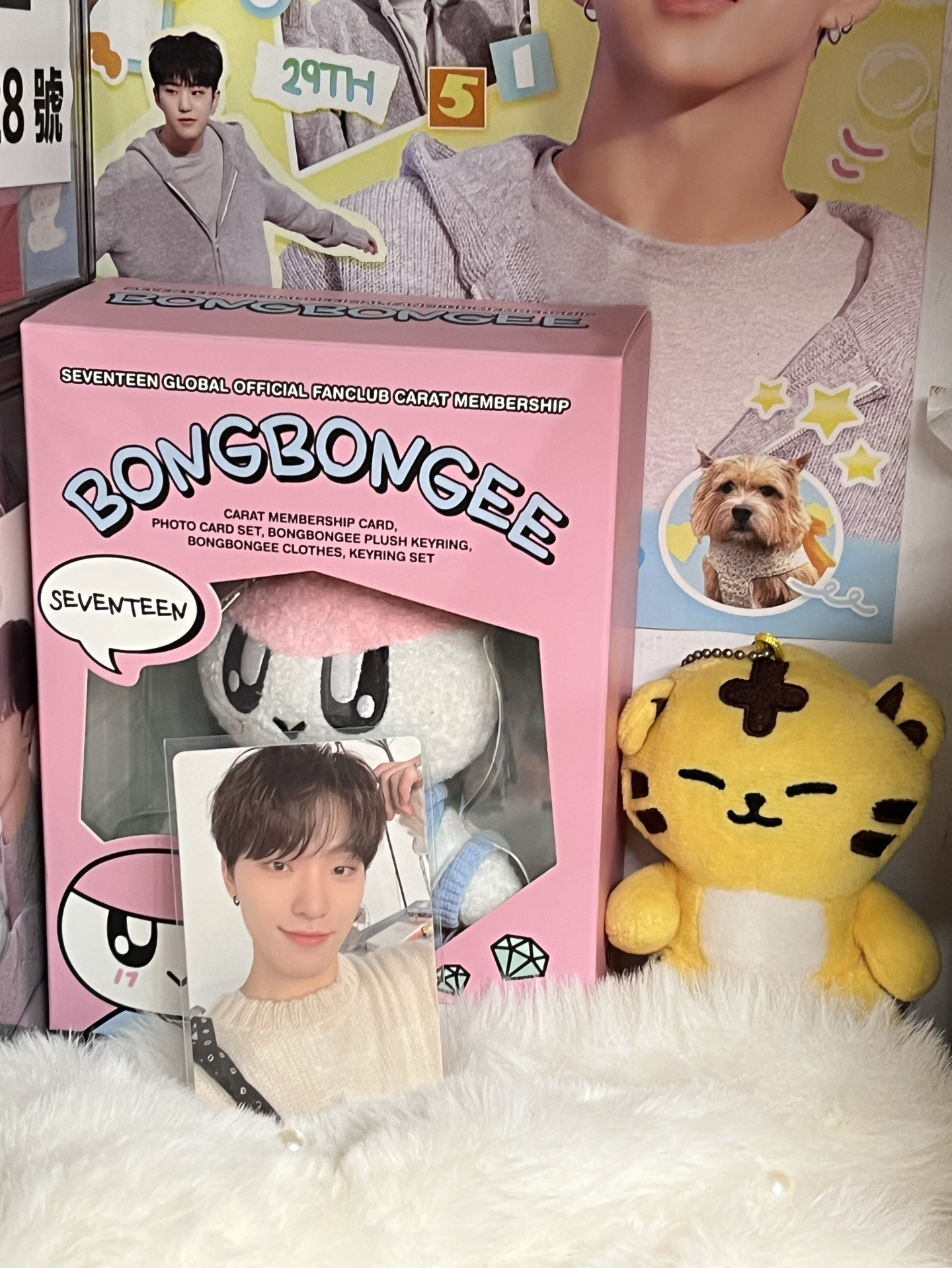 SEVENTEEN DINO🦖克拉盤小卡