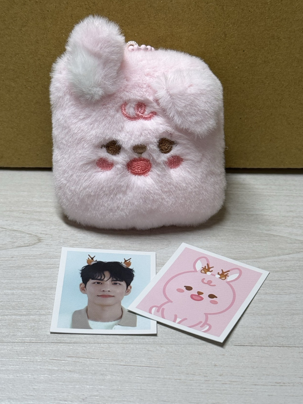 24聖誕控 PIL 證件照組