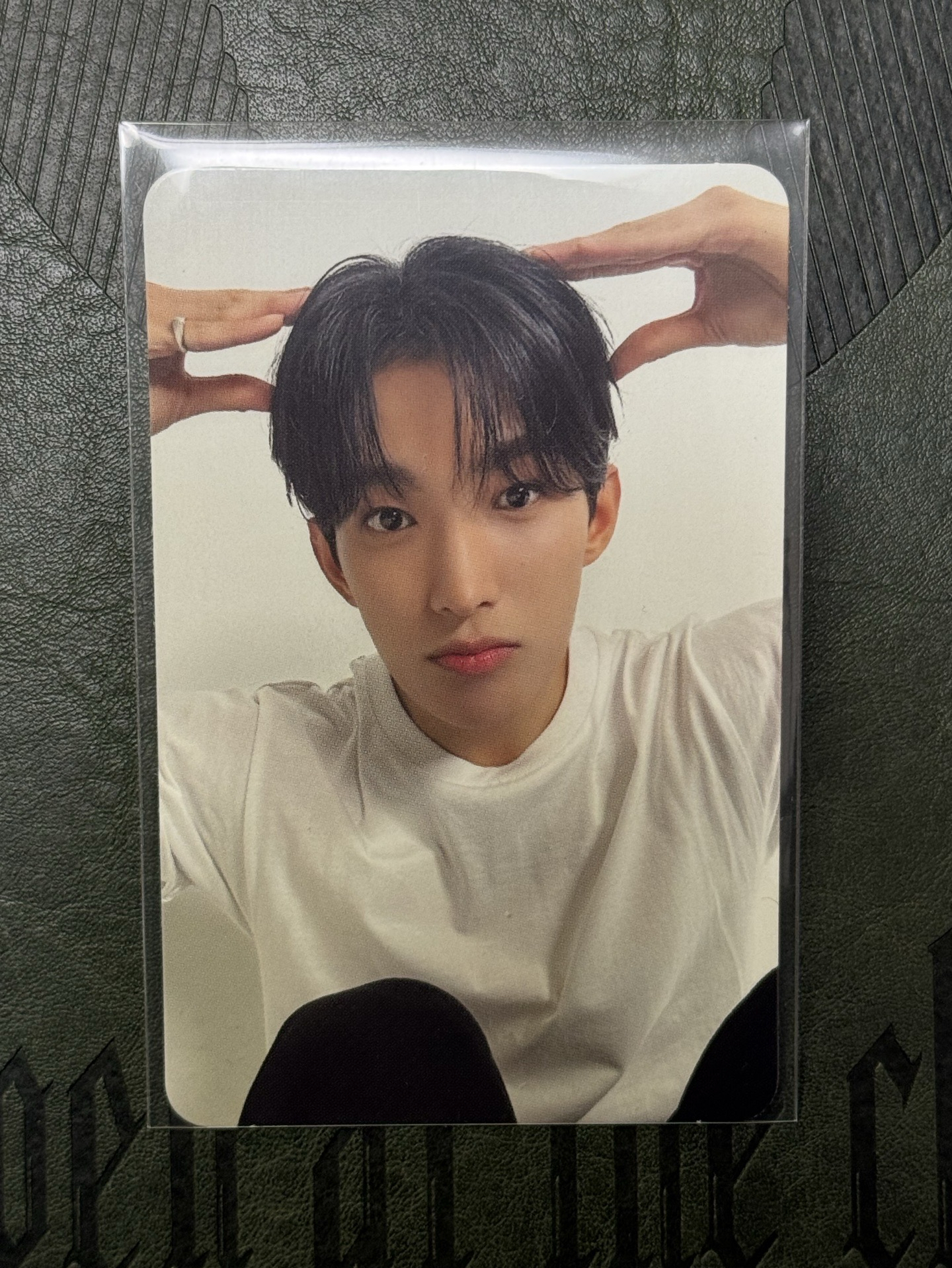 狗狗碩 DK碩珉專卡