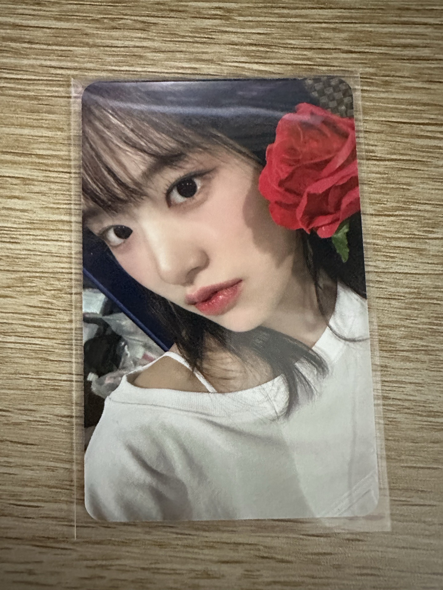 IVE EMPATHY am 4.0 簽售卡 玫瑰花