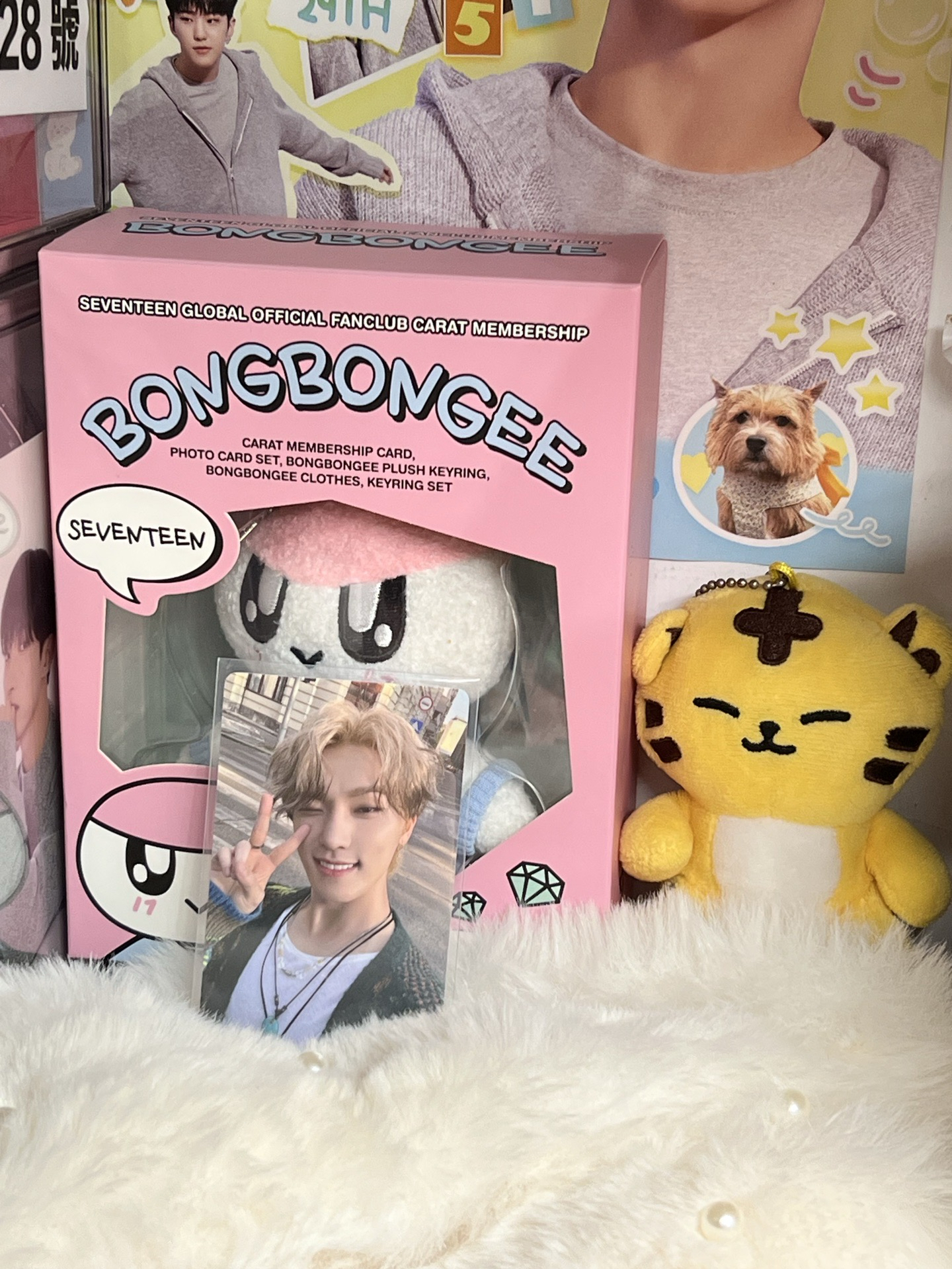 SEVENTEEN DINO🦖特典 專卡🫧