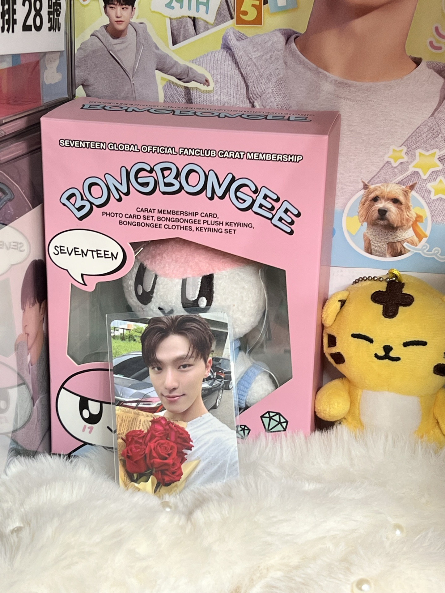 SEVENTEEN DINO🦖特典 專卡🫧