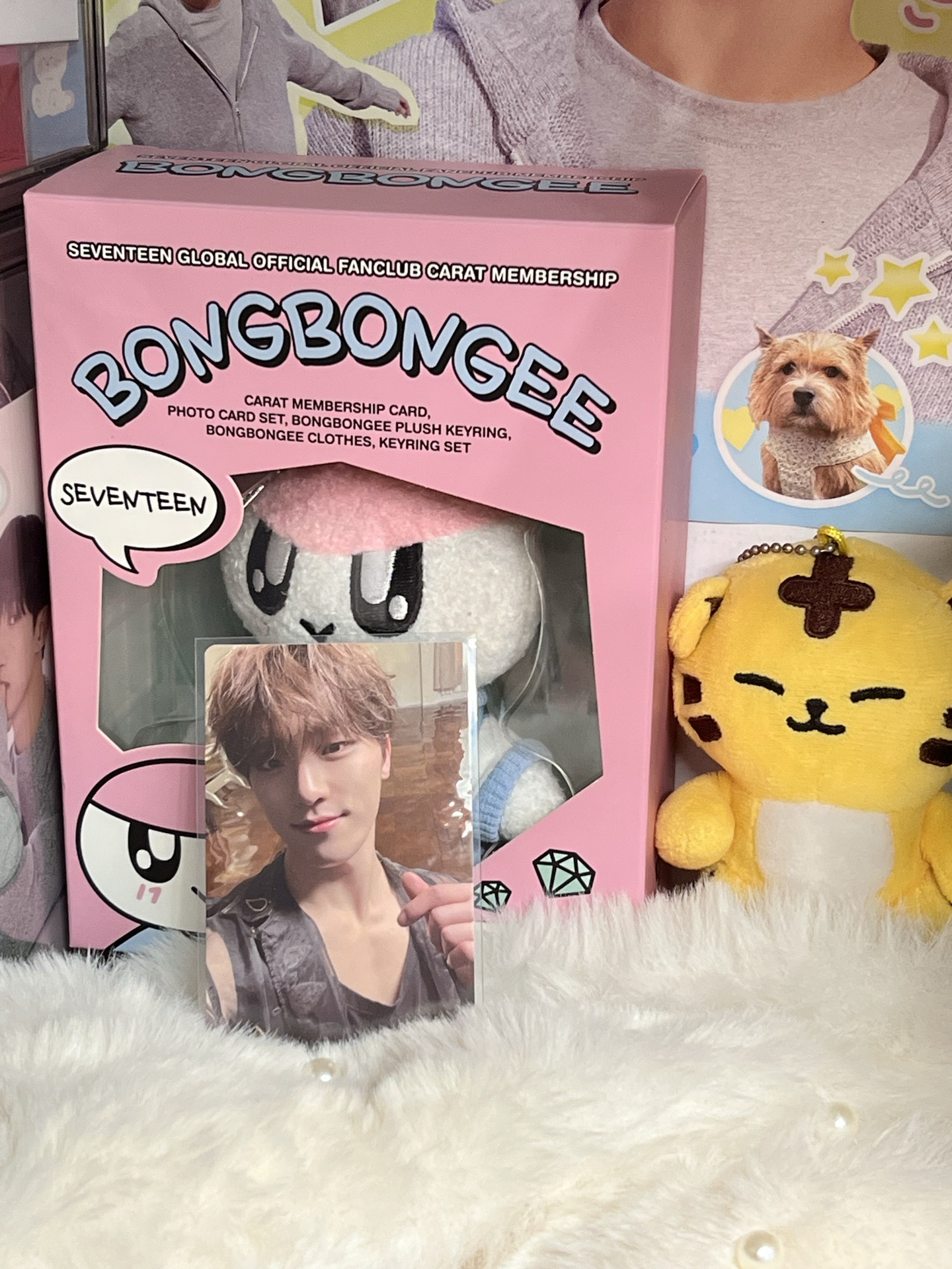SEVENTEEN DINO🦖特典 專卡🫧