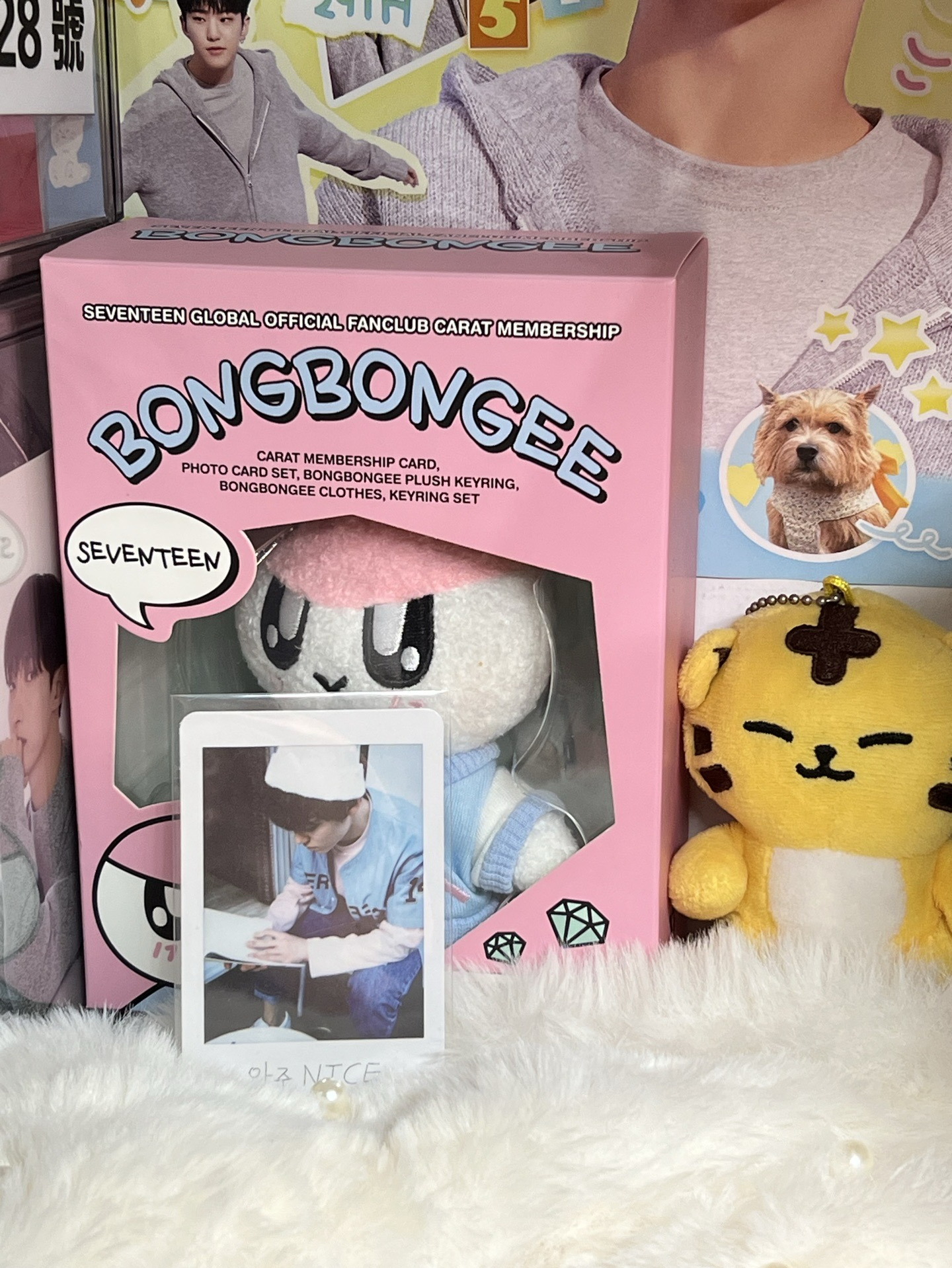 SEVENTEEN VERNON🐻‍❄️專卡