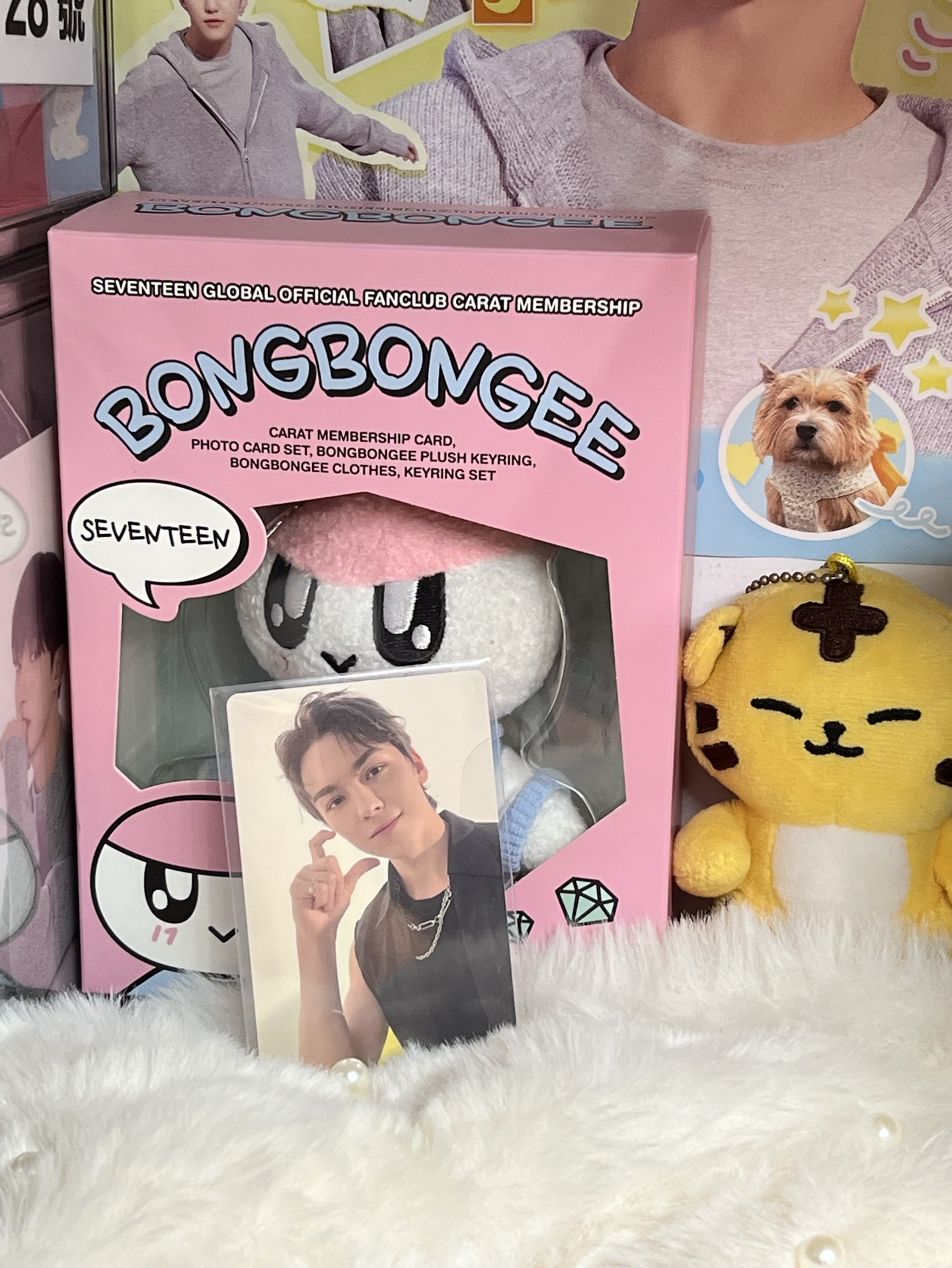 SEVENTEEN VERNON🐻‍❄️專卡