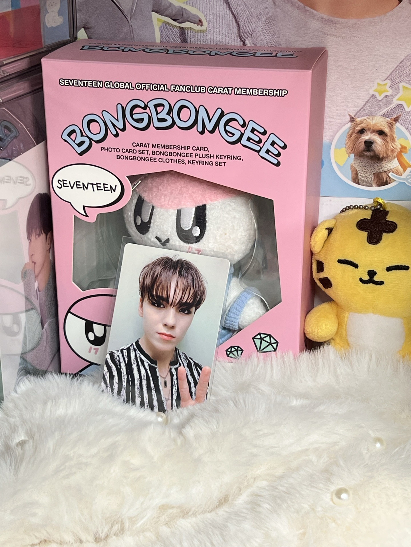 SEVENTEEN VERNON🐻‍❄️專卡