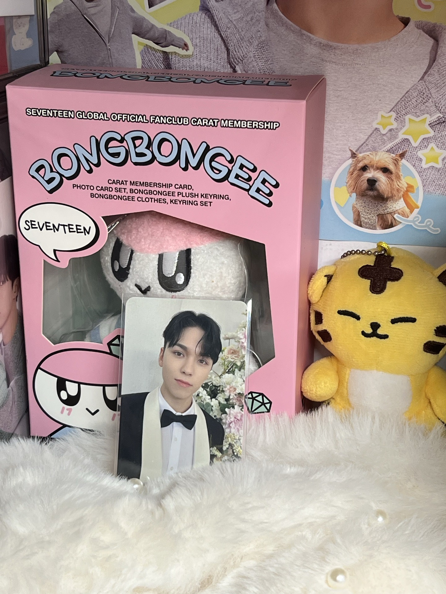 SEVENTEEN VERNON🐻‍❄️專卡