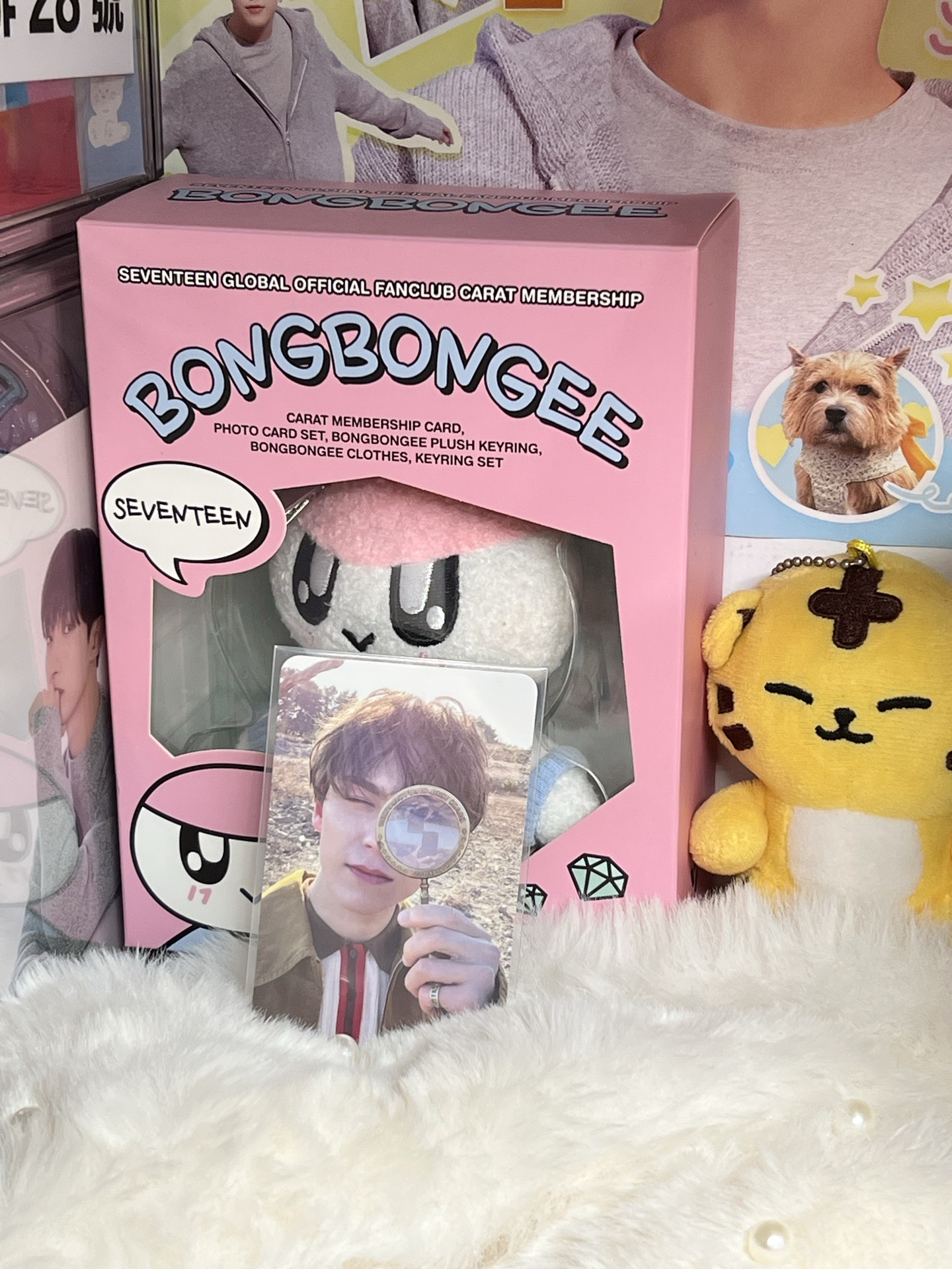 SEVENTEEN VERNON🐻‍❄️專卡