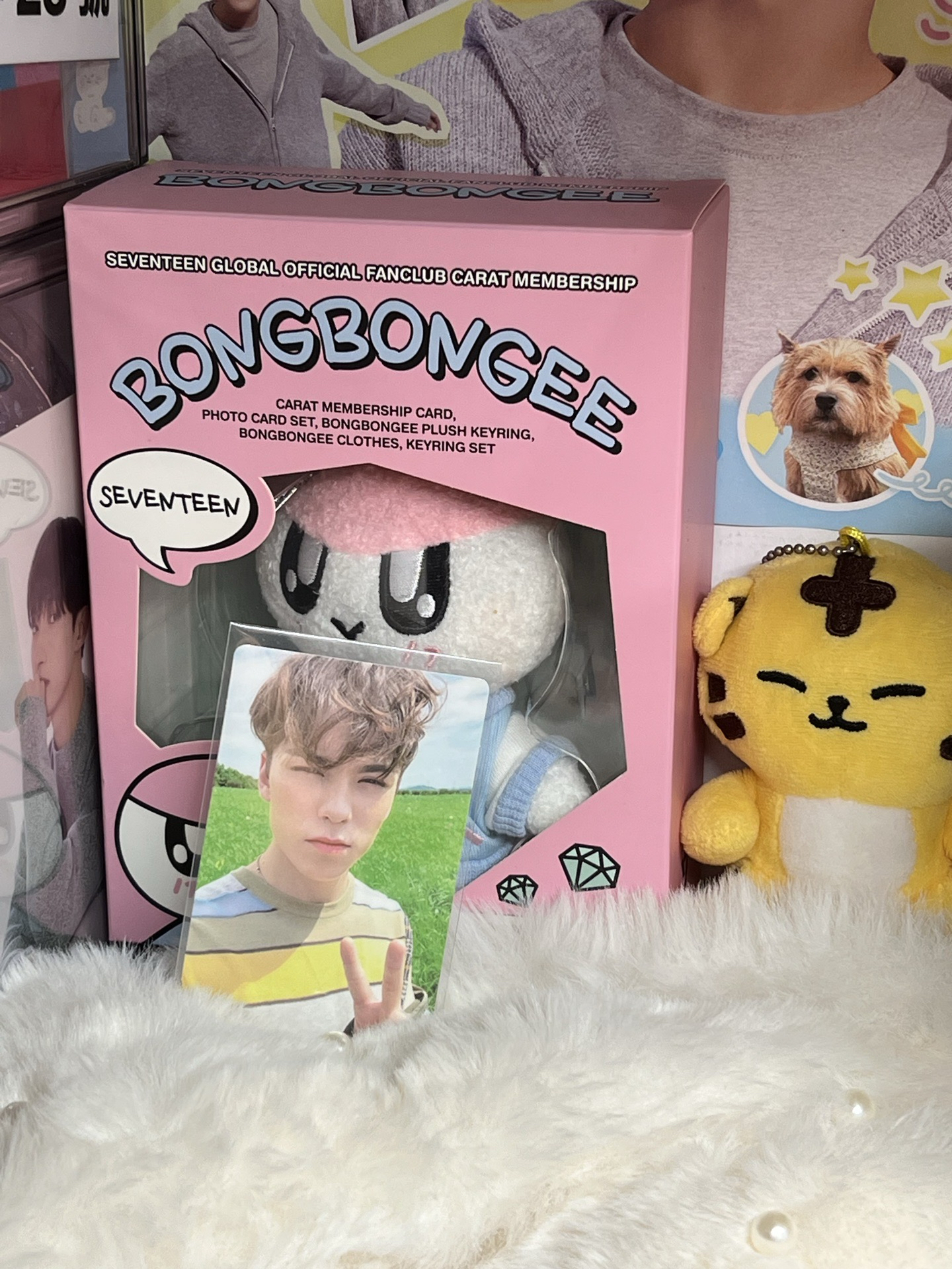 SEVENTEEN VERNON🐻‍❄️專卡