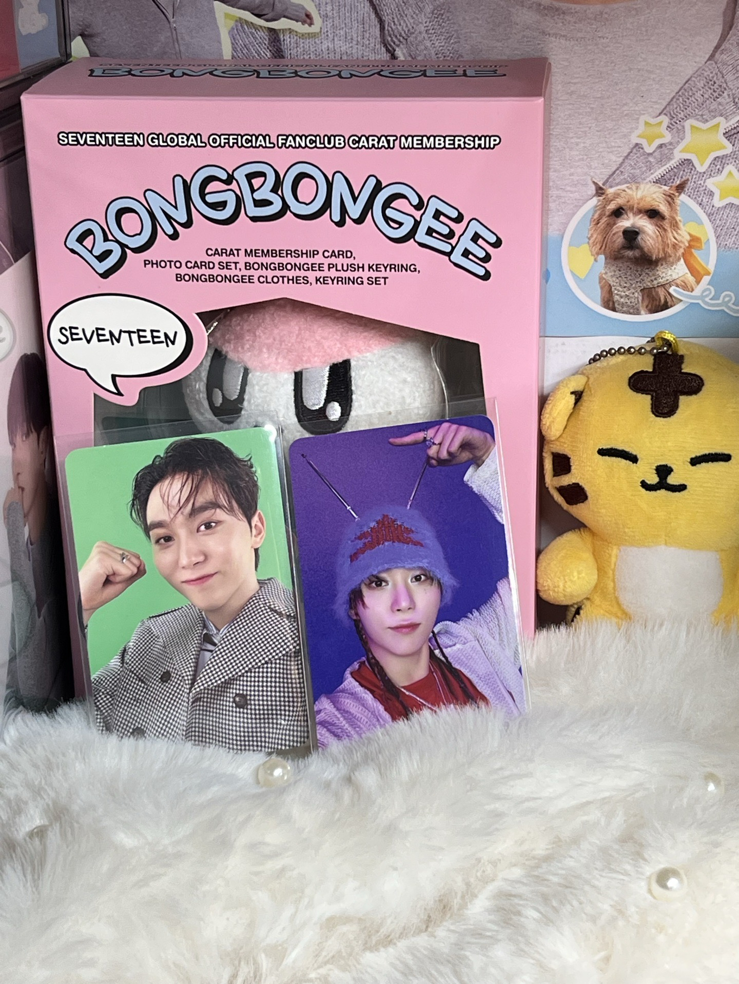 SEVENTEEN SEUNGKWAN🍊專輯小卡