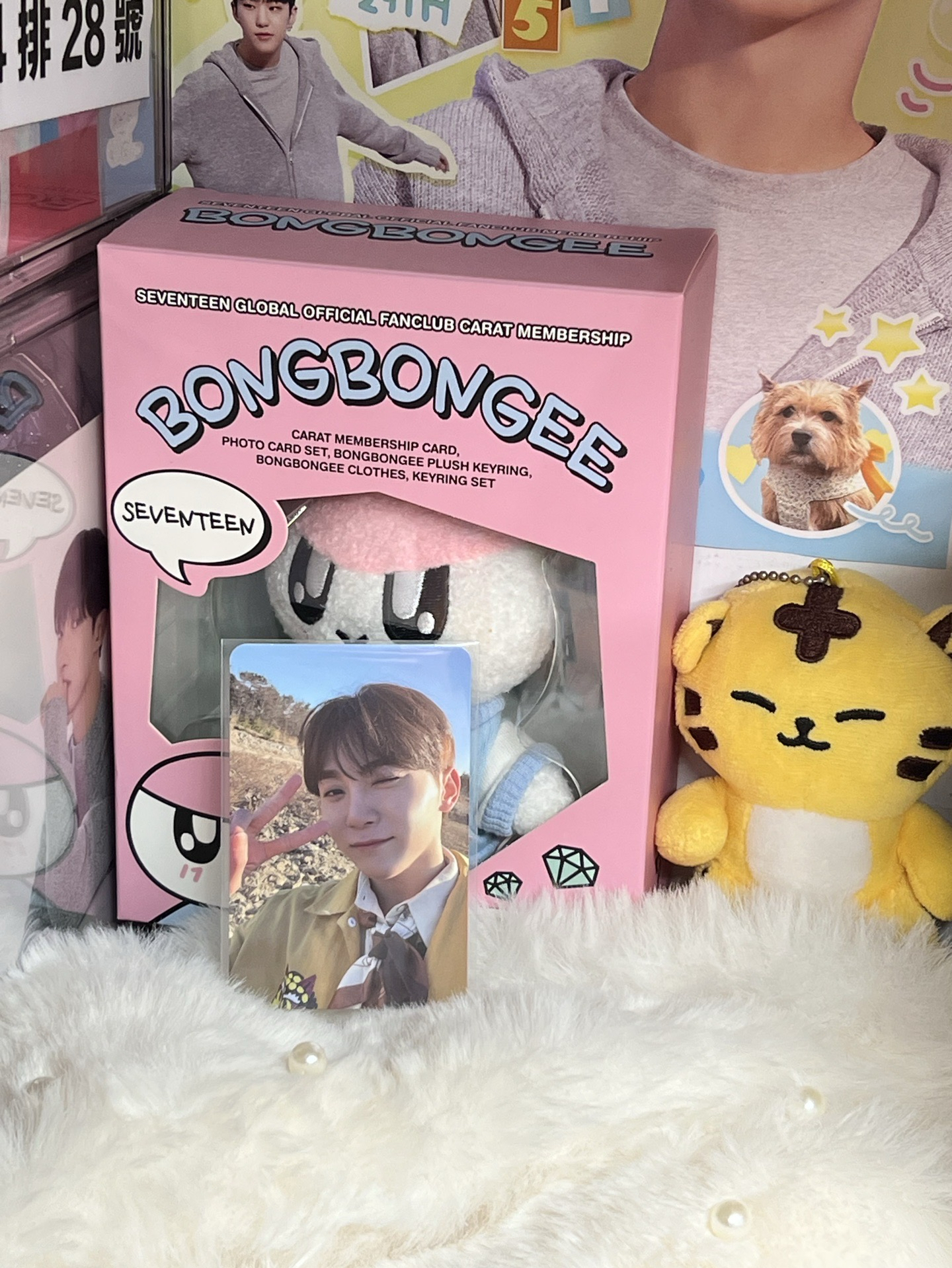 SEVENTEEN SEUNGKWAN🍊專輯小卡