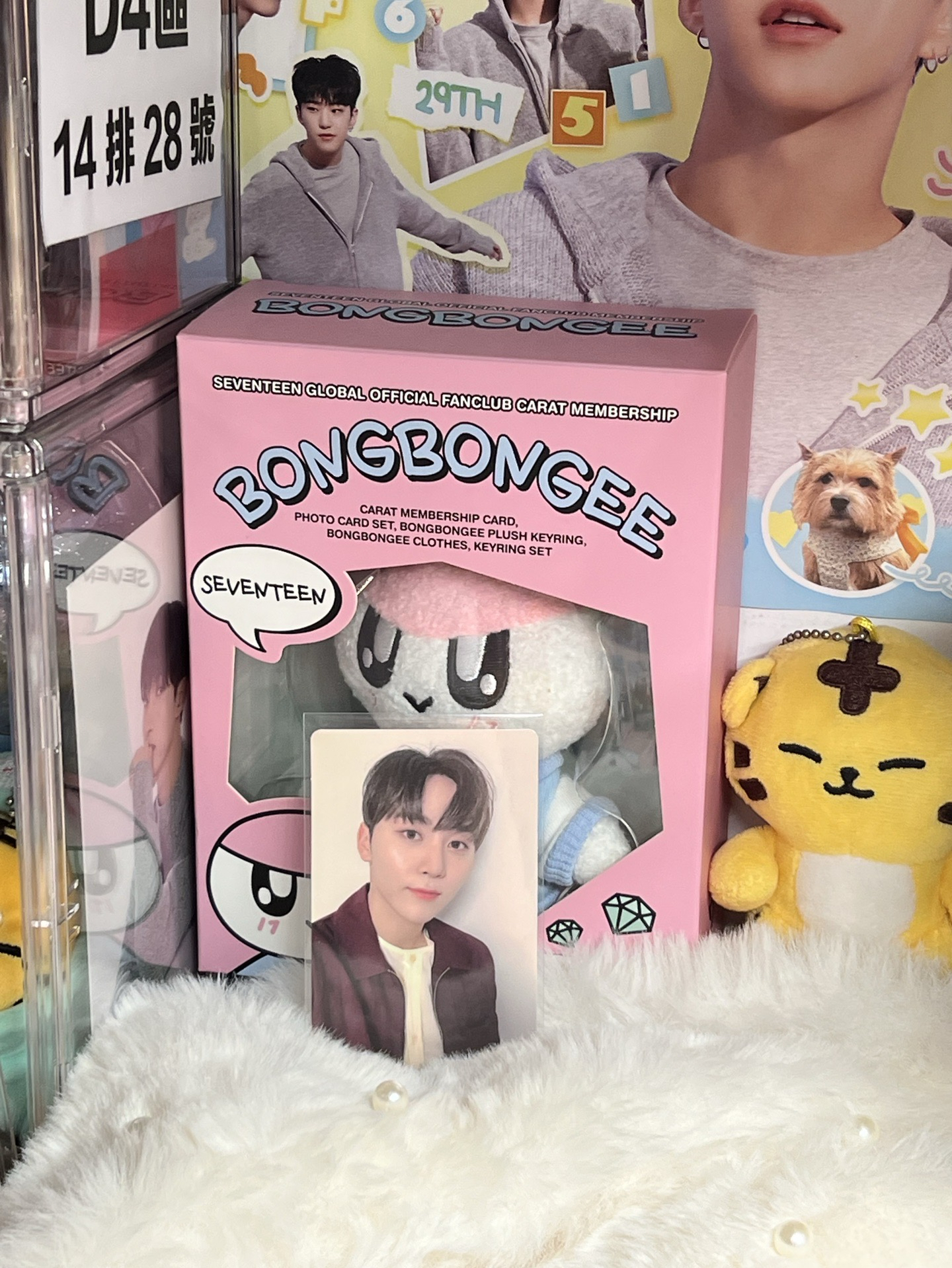 SEVENTEEN SEUNGKWAN🍊專輯小卡