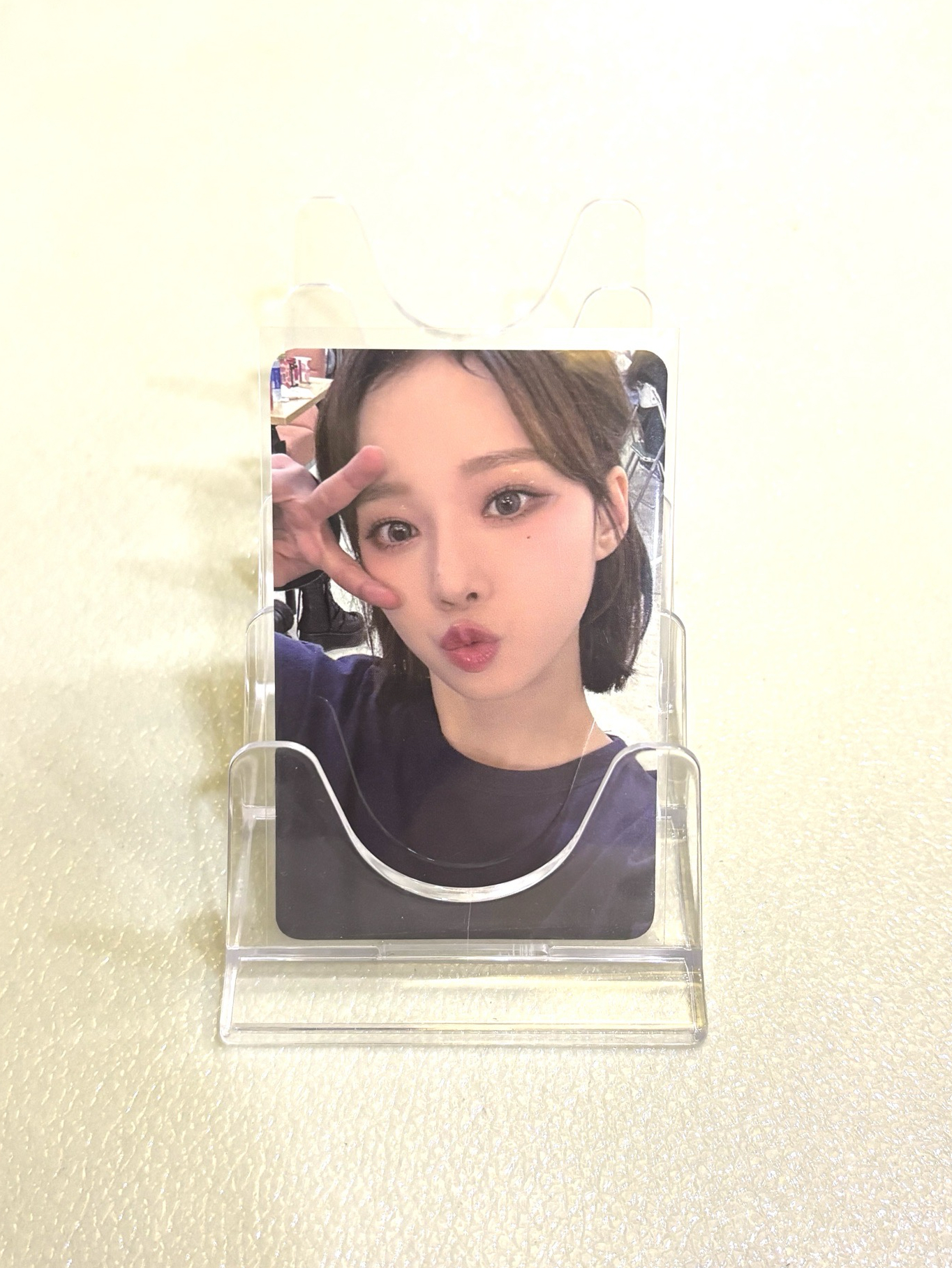 【現貨】冬 MY WORLD k4 特典卡 預售冬 小樹杈冬