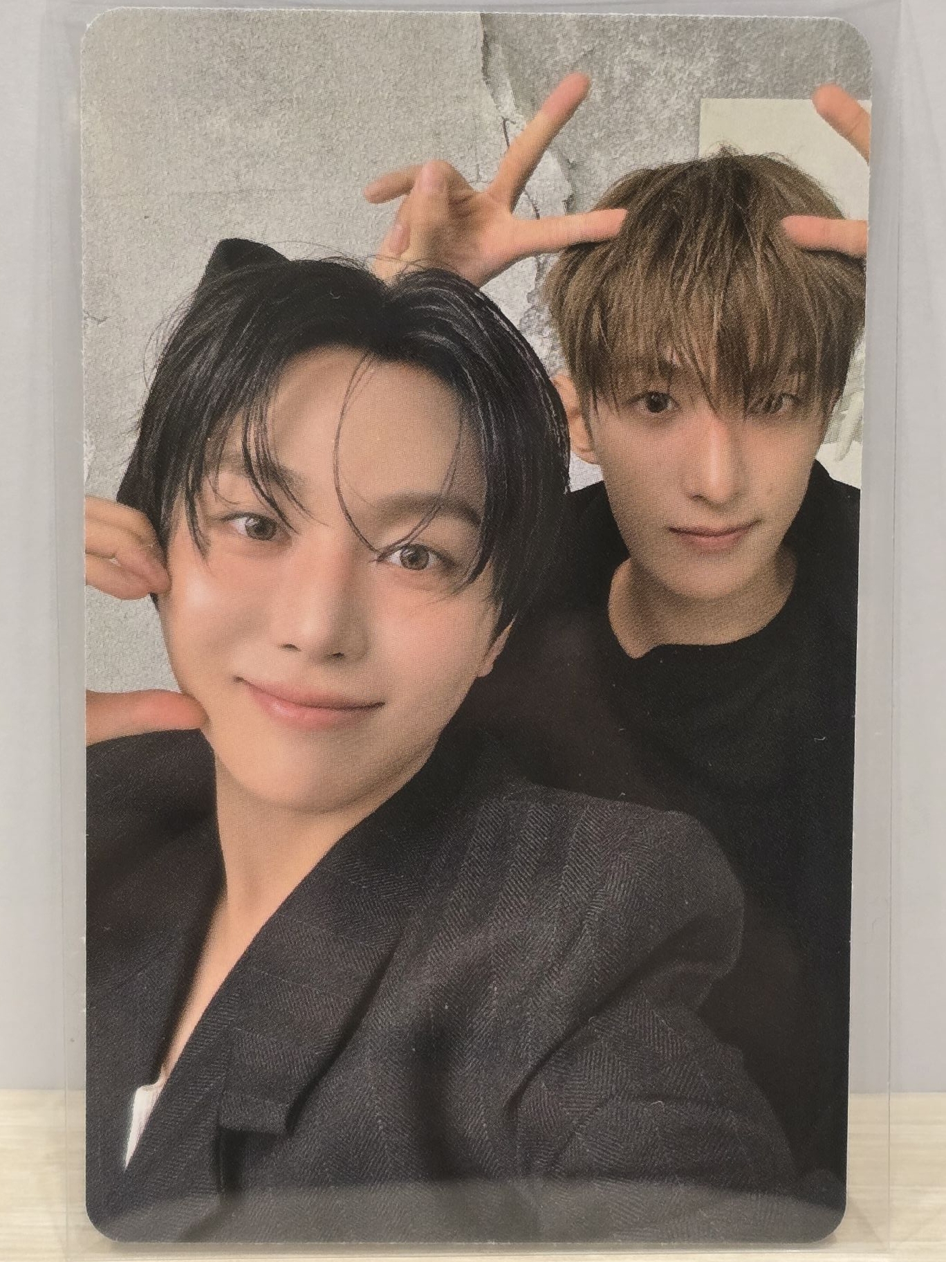 WVS一般特典雙人