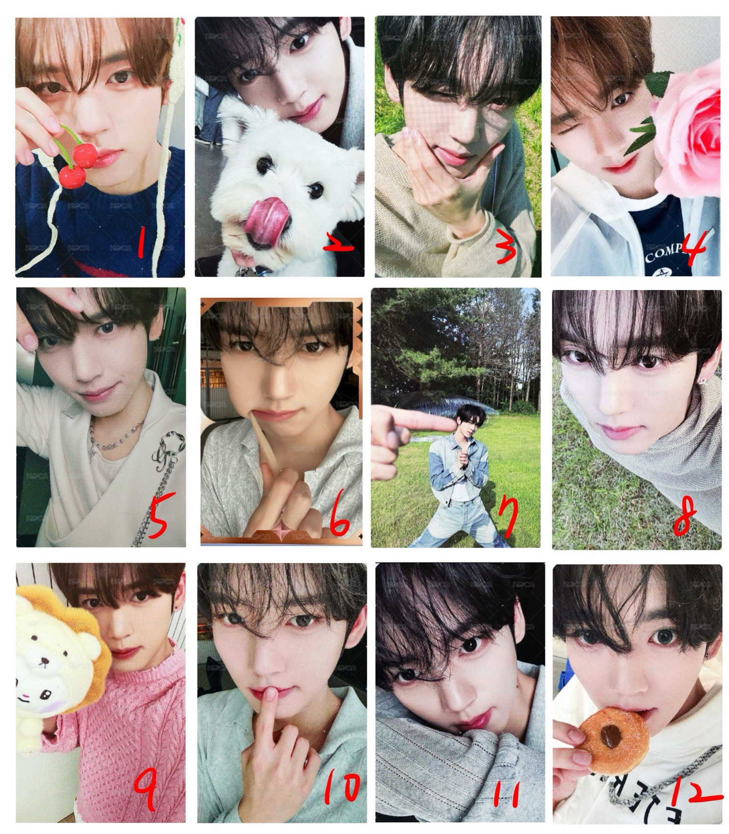 維辰🐰（主頁多辰卡）