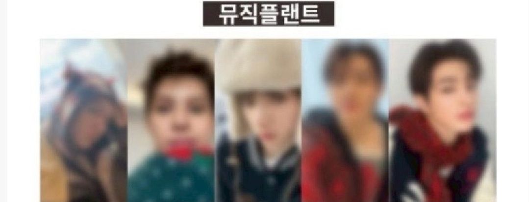 Cortis 迷一 MP 2025年末特典卡