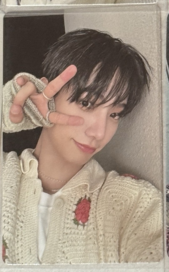 why Wvs 明隊長✌️