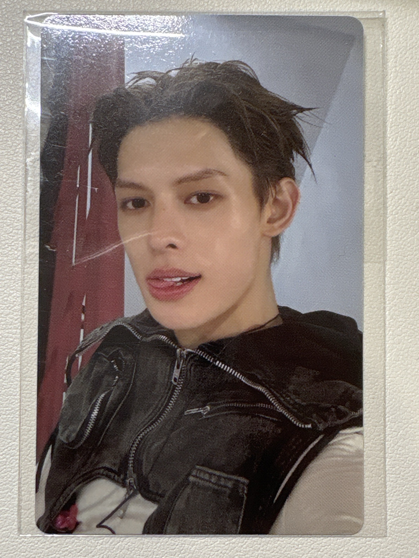 Wvs 3.0 特典卡 金主訓 趙雨凡