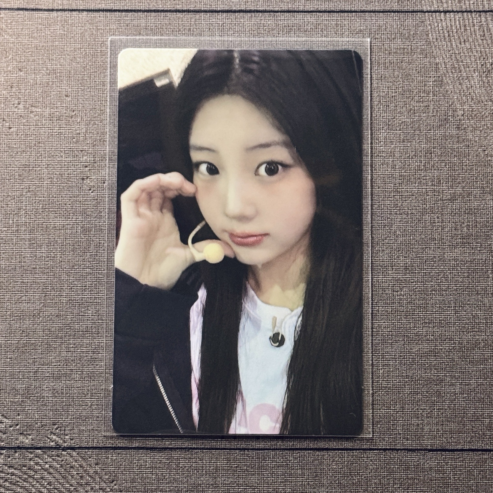 Wonhee 不再可愛 Dingo 特典卡