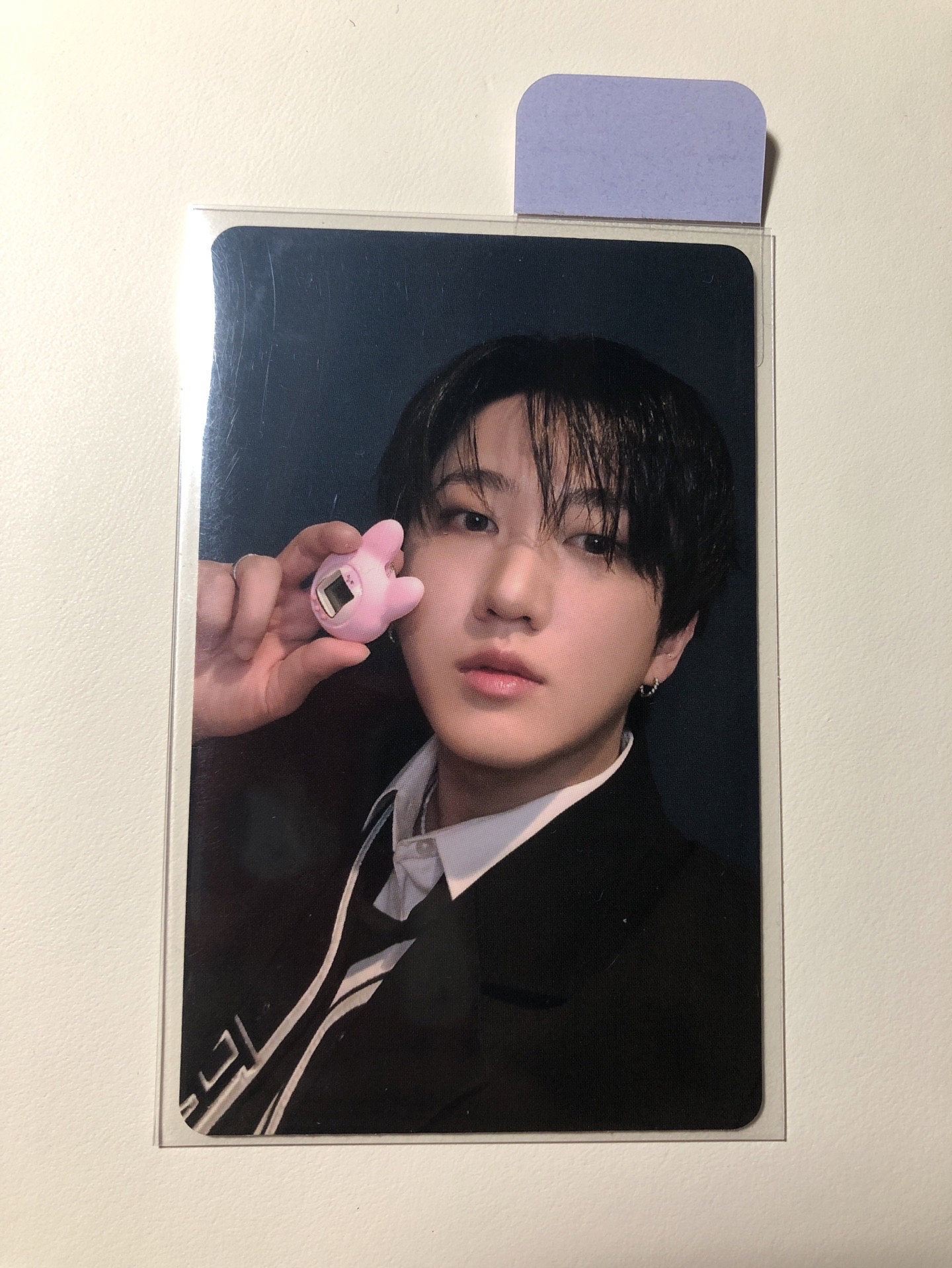 阿彬我想看豬兔正臉😞