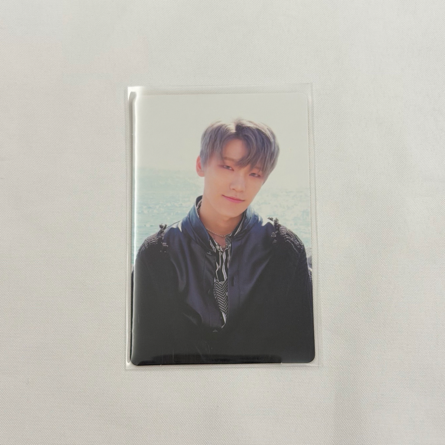 正二 專卡 橘版 DINO 燦 💛