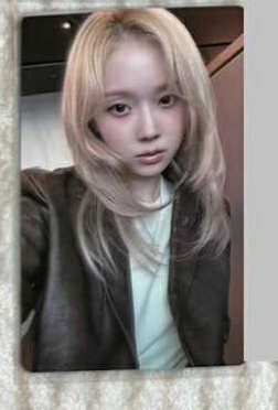 whiplash Kms 幸運卡2.0 冬