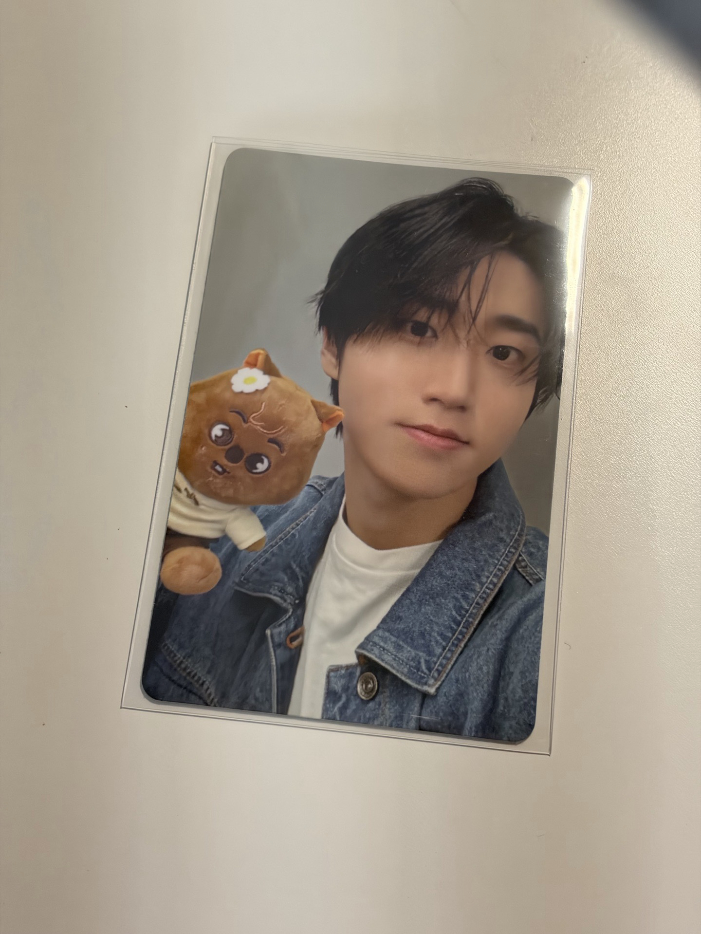 韓知城｜ZOOTOPIA 2 x SKZOO 滿額卡 