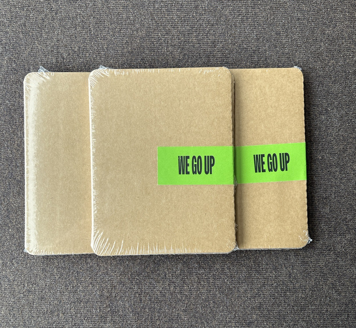 京東預售1.0賢塔 中背（未拆）