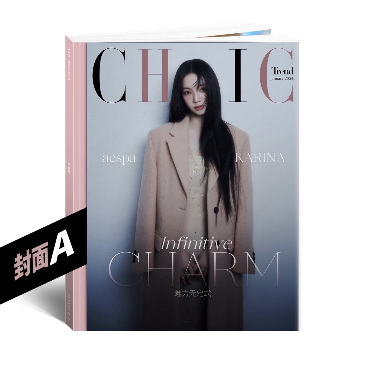 PUSS PUSS雜誌一套三本 CHIC雜誌一套兩本