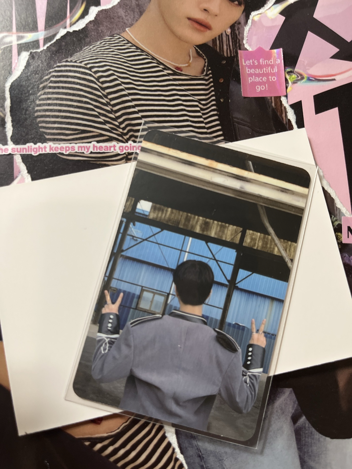 IN生 專卡雙面狗