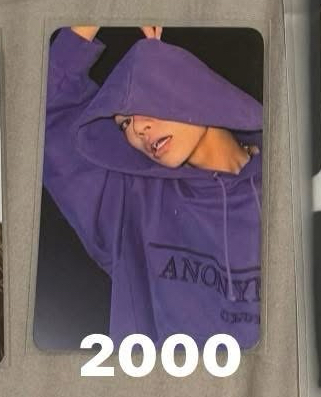 Allday project tarrza紫衣公放卡