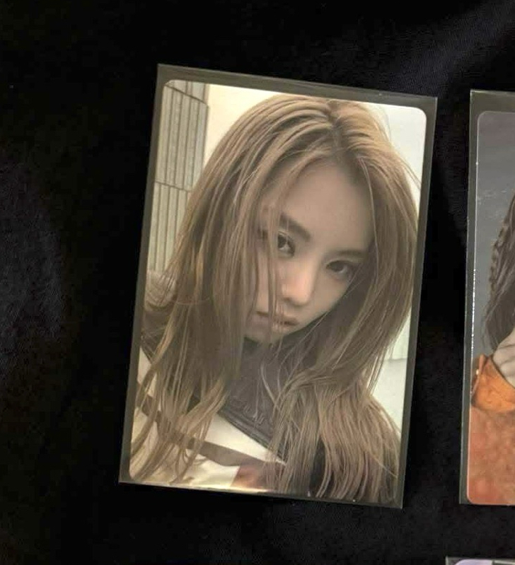 Allday project Bailey專卡