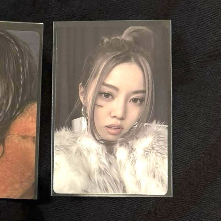 Allday project Bailey專卡