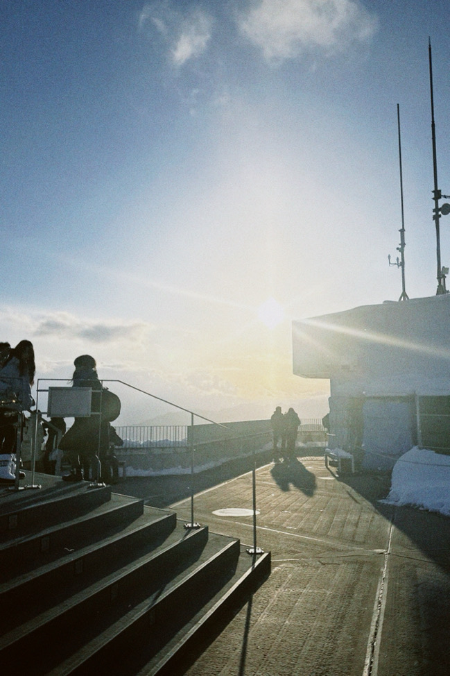 小卡虐我300遍我待小卡如初戀